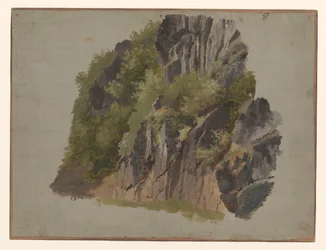 Felsen und Vegetation