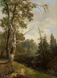Waldansicht bei Wolfheze