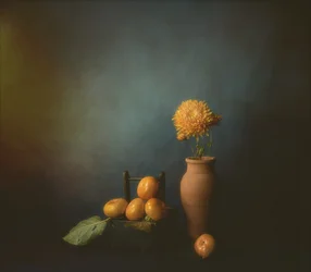 Herbstkaki Stillleben