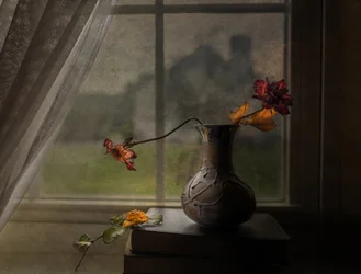 Getrocknete Rosen Fensterblick