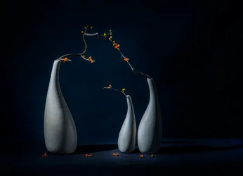 Elegante Vasen mit Blüten