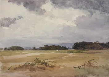 Ein Feld mit Baumgruppen, 19. Jahrhundert