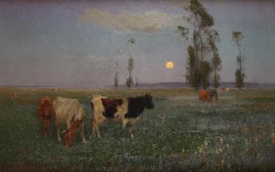 Herold der Nacht
