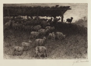 Dämmerung