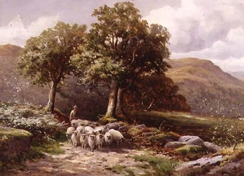 Landschaft mit einer Schafherde