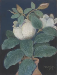 Magnolienblüten, 1933