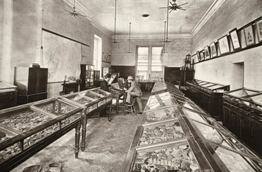 Museum, Camborne Mining School, Illustration aus 