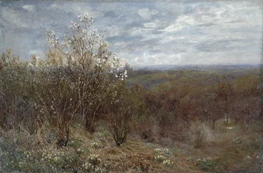 Frühling im Tal