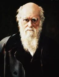 Porträt des englischen Naturforschers Charles Darwin, Detail