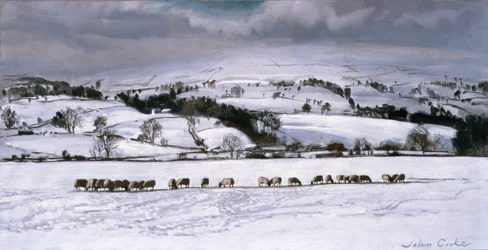 Winterfütterung