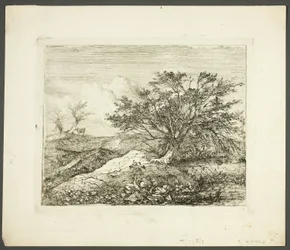 In Bawburgh