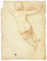 Putto von hinten