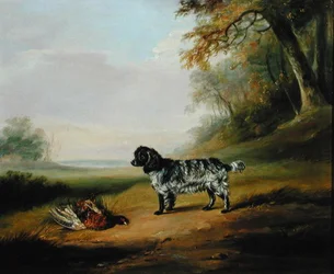 Landschaft mit einem Hund