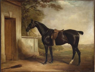 Porträt von Buckle, dem Jagdpferd des ersten Lord Chesham, 1836