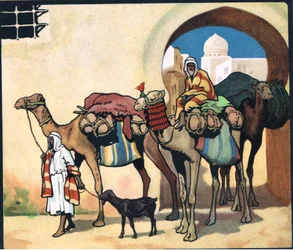 Kamelkarawane, Illustration aus 