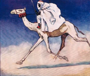 Reiten auf einem Kamel, Illustration aus 