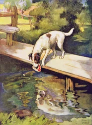 Der Hund und der Schatten aus „Äsops Fabeln“, veröffentlicht von Raphael Tuck & Sons Ltd., London
