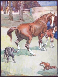 Die Stute hob ihren Huf, Illustration für Reineke Fuchs, aus Tierlegenden aus vielen Ländern, veröffentlicht von Raphael Tuck & Sons Ltd.