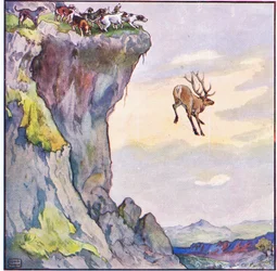 Der Bock stürzte in den Abgrund darunter