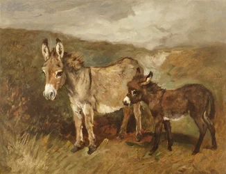 Esel draußen im Moor, ca. 1890