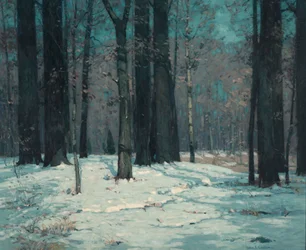 Wald im Winter