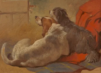 Ein Jagdhund und ein bärtiger Collie auf einem Jagdmantel sitzend
