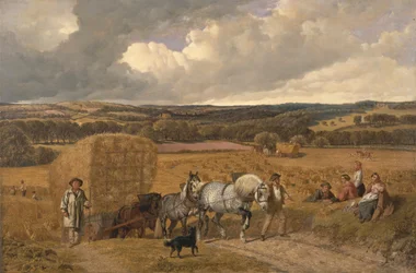 Die Ernte