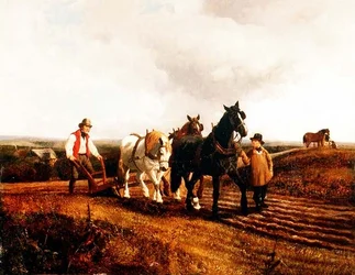 Pflügen