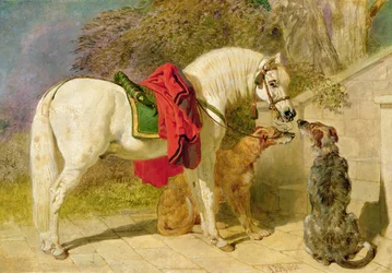 Die Haustiere des Gutsherrn