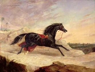 Araber jagen ein loses arabisches Pferd in einer östlichen Landschaft