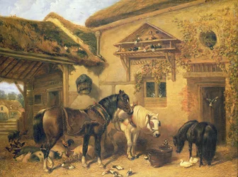 Hüttentür und Bauernhof