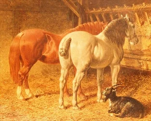 Pferde und eine Ziege in einem Stall