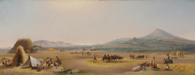 Ernte in der römischen Campagna