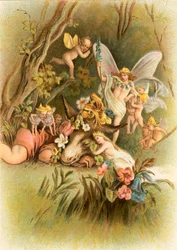 Ein Sommernachtstraum