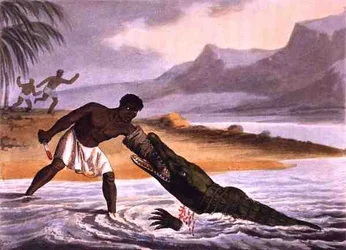 Die afrikanischen Krokodiljäger, graviert von Matthew Dubourg (fl. 1785-1820), veröffentlicht von Edward Orme
