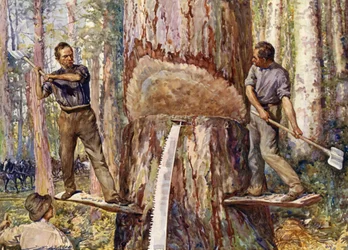 Holzfäller beim Holzschneiden