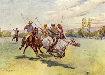 Polo in Südafrika