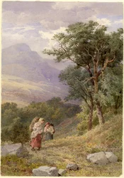 In der Nähe von Tarbet, Loch Fyne
