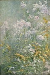 Wiesenblumen (Goldrute und Wildaster), ca. 1892