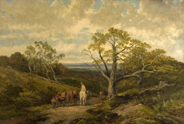 Ansicht im Sherwood Forest, Nottinghamshire