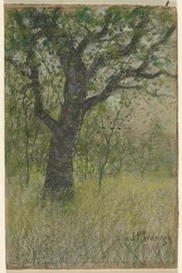 Landschaft
