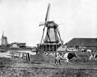Niederländische Windmühlen, Holland, späte 19. Jahrhundert