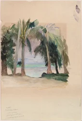 Palmen am Meer