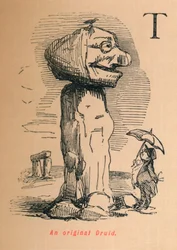 Ein originaler Druide, um 1860