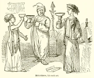 Mithridates, seine unüberlegte Tat
