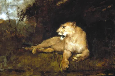 Eine Löwin