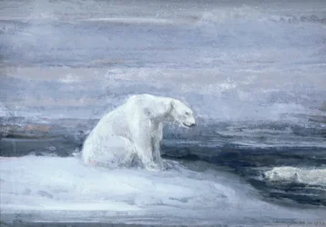 Eisbären beobachten Robben an einem Eisloch