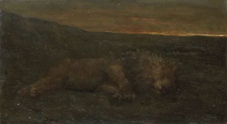 Schlafender Löwe bei Nacht
