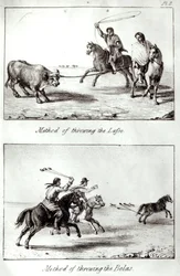 Methoden des Lassowerfens und der Bolas, aus 