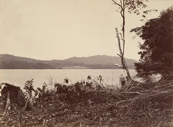 Tropische Landschaft, Darien Harbor, Chipigana, 1871